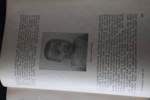 náhled knihy - 