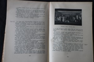 náhled knihy - 