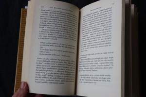 náhled knihy - 