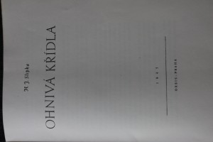náhled knihy - 