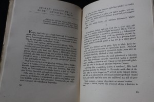 náhled knihy - 