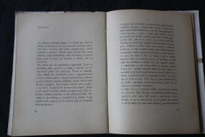 náhled knihy - 