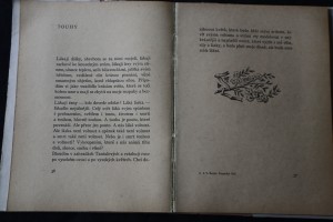 náhled knihy - 