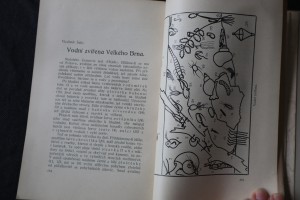 náhled knihy - 