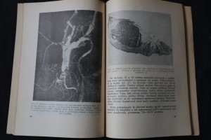 náhled knihy - 