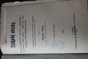 náhled knihy - 