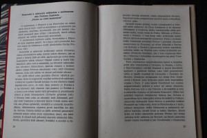 náhled knihy - 