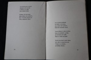 náhled knihy - 