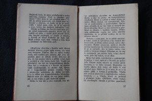 náhled knihy - 