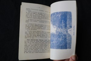 náhled knihy - 