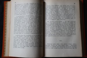 náhled knihy - 