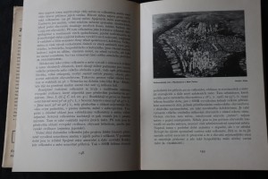náhled knihy - 