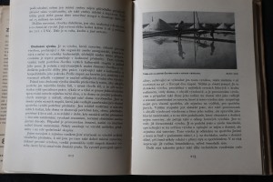 náhled knihy - 