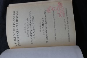 náhled knihy - 