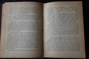 náhled knihy - 