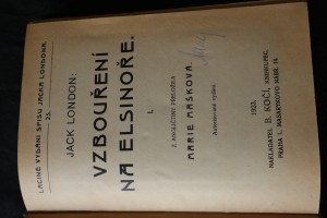 náhled knihy - Vzbouření na Elsinoře