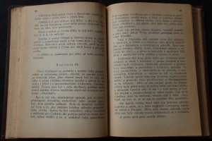 náhled knihy - 