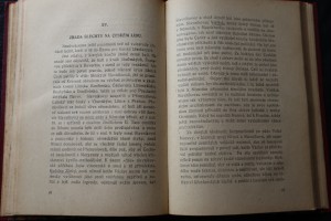 náhled knihy - 