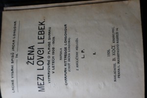 náhled knihy - 