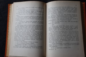 náhled knihy - 