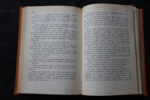 náhled knihy - 