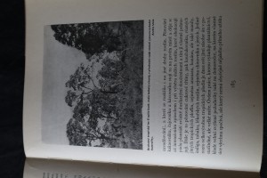 náhled knihy - 
