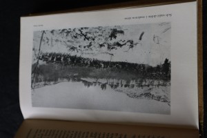 náhled knihy - 