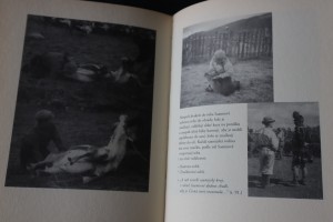 náhled knihy - 