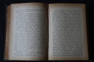 náhled knihy - 