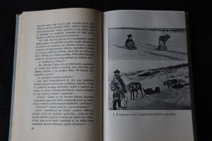 náhled knihy - 