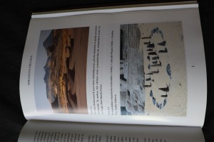 náhled knihy - 