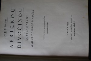 náhled knihy - Africkou divočinou : autem z Prahy k Mysu Dobré Naděje