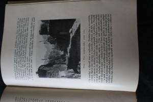 náhled knihy - 