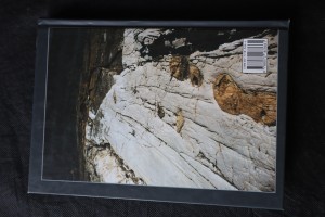 náhled knihy - 