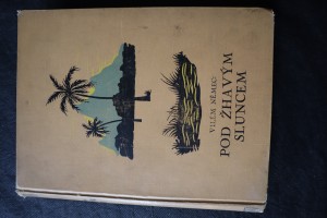 náhled knihy - Pod žhavým sluncem : cestopisné črty z výpravy konané v letech 1899-1900 východním Sudanem, Habeší a italskou kolonií Erytreou