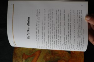 náhled knihy - 