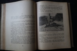 náhled knihy - 