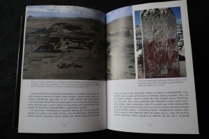 náhled knihy - 