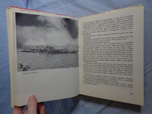 náhled knihy - 