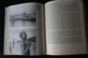 náhled knihy - 