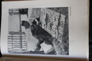 náhled knihy - 