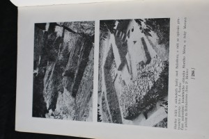 náhled knihy - 
