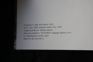 náhled knihy - 