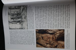 náhled knihy - 