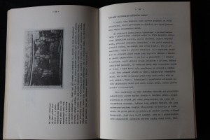 náhled knihy - 