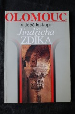 náhled knihy - Olomouc v době biskupa Jindřicha Zdíka