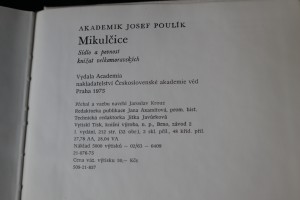 náhled knihy - 