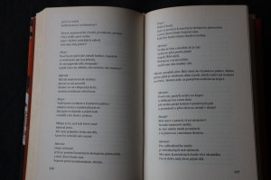 náhled knihy - 