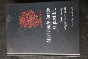 náhled knihy - Mezi houfy lotrův se pustiti-- : české cestopisy o Egyptě 15.-17. století
