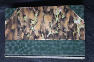 náhled knihy - V zemi půlměsíce : cestovní causerie